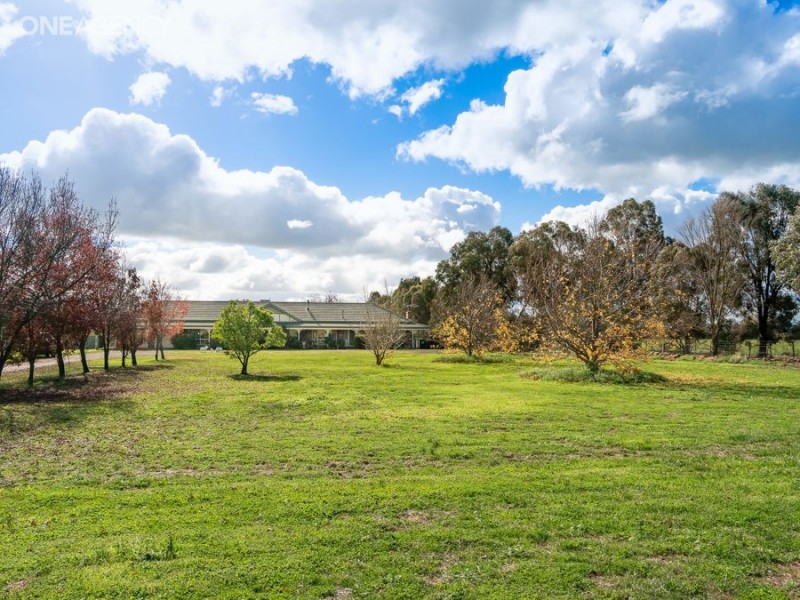256 Inglewood Road, Lake Albert NSW 2650