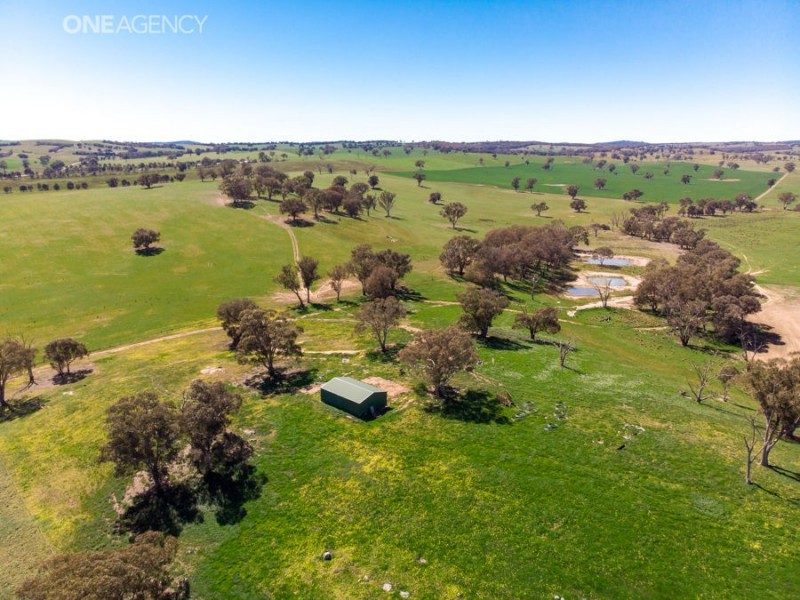Lot 2 Pulletop Road Via Cookardinia, Wagga Wagga NSW 2650