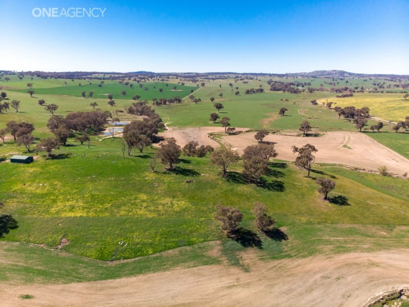 Lot 2 Pulletop Road Via Cookardinia, Wagga Wagga NSW 2650