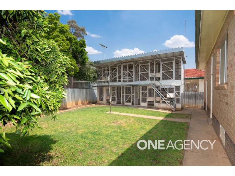 22 Mathoura Avenue, Mount Austin NSW 2650