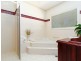 519 Kooringal Road, East Wagga Wagga NSW 2650