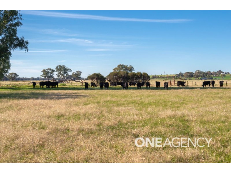 4818 OLYMPIC HIGHWAY, The Rock NSW 2655