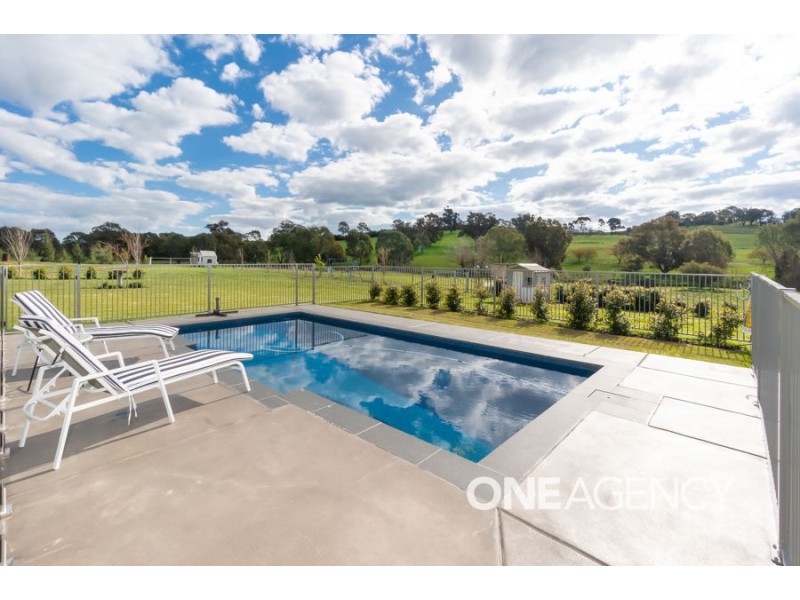 42 PIMELEA PLACE, Springvale NSW 2650