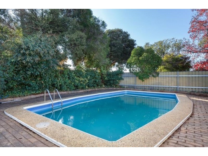 20 DALKEITH AVENUE, Lake Albert NSW 2650