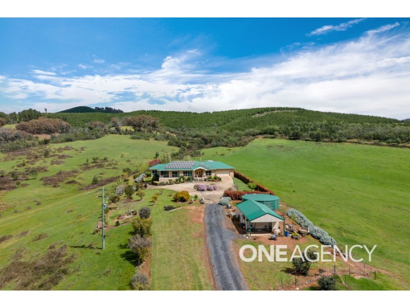 3823 TUMBARUMBA ROAD, Carabost NSW 2650