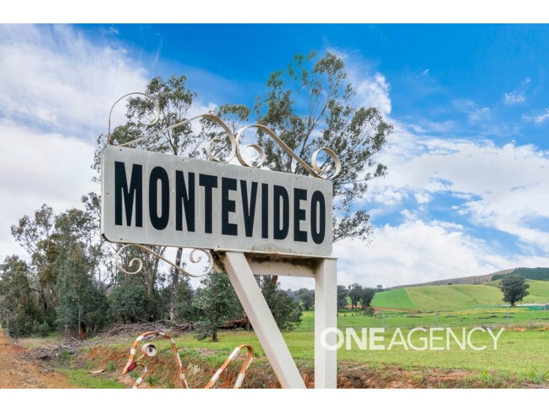 3823 TUMBARUMBA ROAD, Carabost NSW 2650