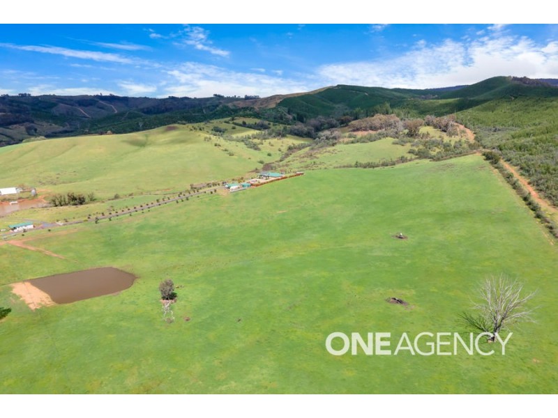 3823 TUMBARUMBA ROAD, Carabost NSW 2650