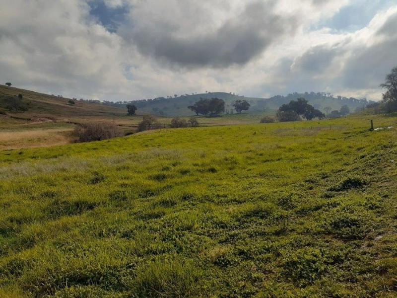 “WILLOWIE” FIVE MILE CREEK ROAD, Gundagai NSW 2722