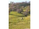 “WILLOWIE” FIVE MILE CREEK ROAD, Gundagai NSW 2722