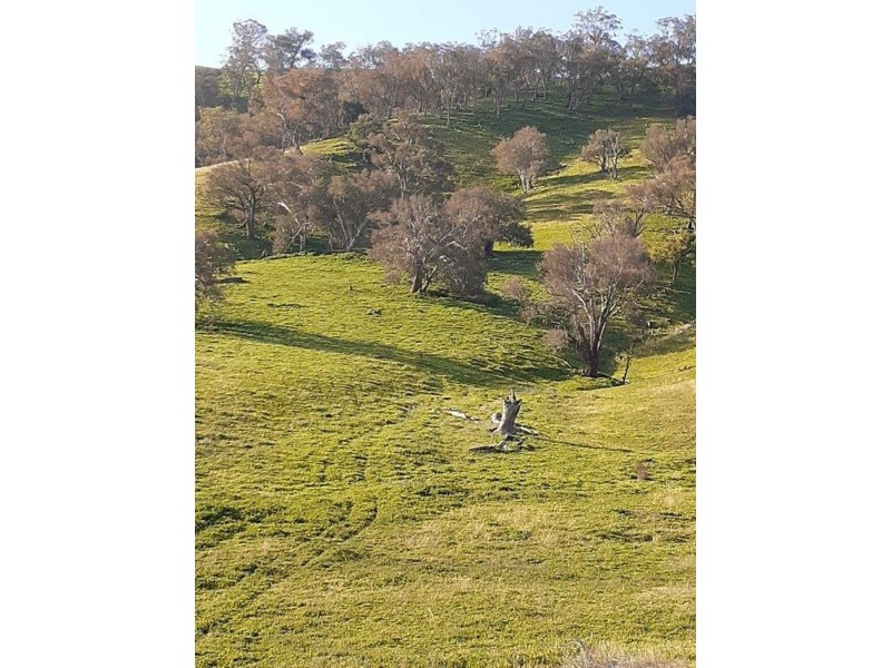 “WILLOWIE” FIVE MILE CREEK ROAD, Gundagai NSW 2722