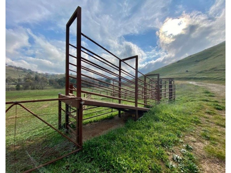 “WILLOWIE” FIVE MILE CREEK ROAD, Gundagai NSW 2722