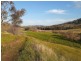 “WILLOWIE” FIVE MILE CREEK ROAD, Gundagai NSW 2722