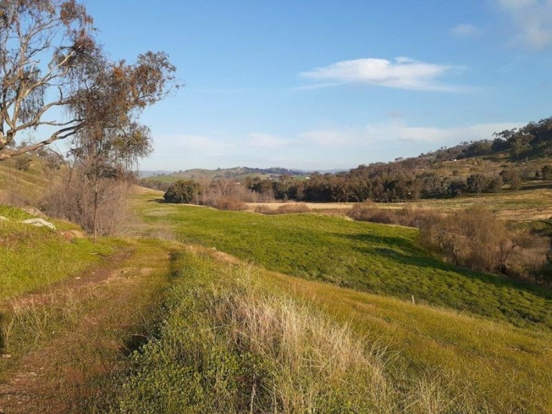 “WILLOWIE” FIVE MILE CREEK ROAD, Gundagai NSW 2722