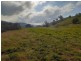 “WILLOWIE” FIVE MILE CREEK ROAD, Gundagai NSW 2722