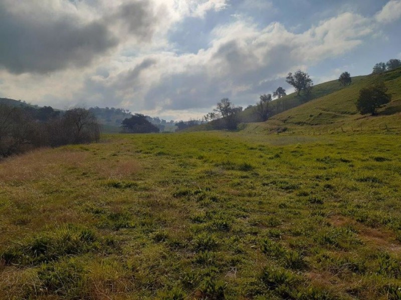 “WILLOWIE” FIVE MILE CREEK ROAD, Gundagai NSW 2722