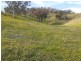 “WILLOWIE” FIVE MILE CREEK ROAD, Gundagai NSW 2722