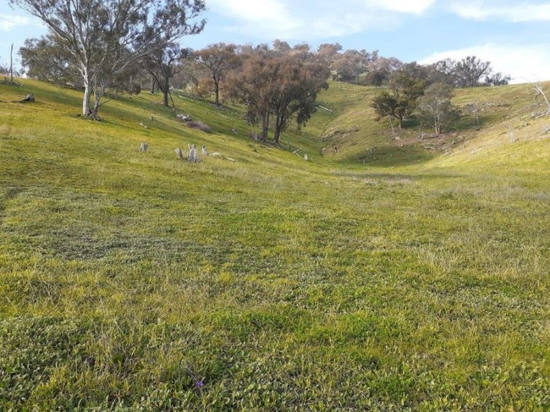 “WILLOWIE” FIVE MILE CREEK ROAD, Gundagai NSW 2722