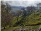 “WILLOWIE” FIVE MILE CREEK ROAD, Gundagai NSW 2722