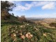 “WILLOWIE” FIVE MILE CREEK ROAD, Gundagai NSW 2722