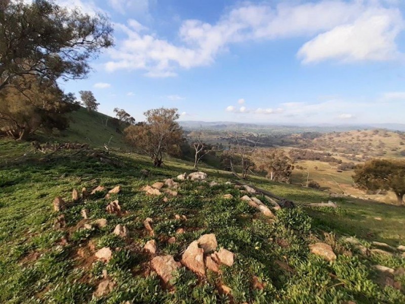 “WILLOWIE” FIVE MILE CREEK ROAD, Gundagai NSW 2722