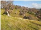 “WILLOWIE” FIVE MILE CREEK ROAD, Gundagai NSW 2722