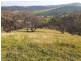 “WILLOWIE” FIVE MILE CREEK ROAD, Gundagai NSW 2722
