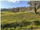 “WILLOWIE” FIVE MILE CREEK ROAD, Gundagai NSW 2722