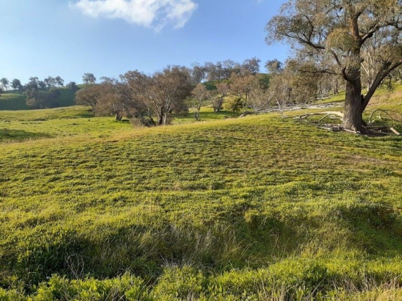 “WILLOWIE” FIVE MILE CREEK ROAD, Gundagai NSW 2722