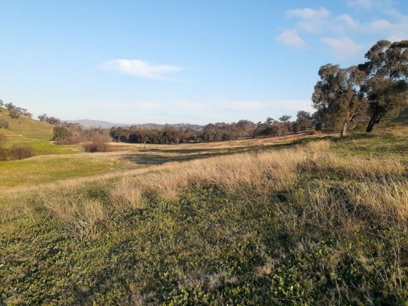 “WILLOWIE” FIVE MILE CREEK ROAD, Gundagai NSW 2722