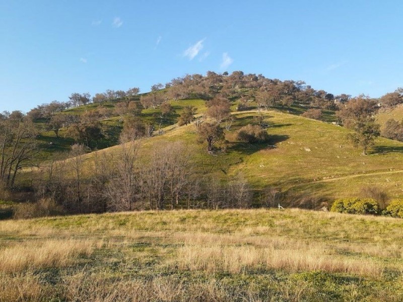 “WILLOWIE” FIVE MILE CREEK ROAD, Gundagai NSW 2722