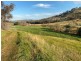 “WILLOWIE” FIVE MILE CREEK ROAD, Gundagai NSW 2722