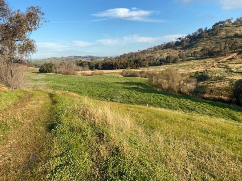 “WILLOWIE” FIVE MILE CREEK ROAD, Gundagai NSW 2722