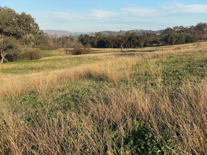 “WILLOWIE” FIVE MILE CREEK ROAD, Gundagai NSW 2722