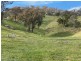 “WILLOWIE” FIVE MILE CREEK ROAD, Gundagai NSW 2722
