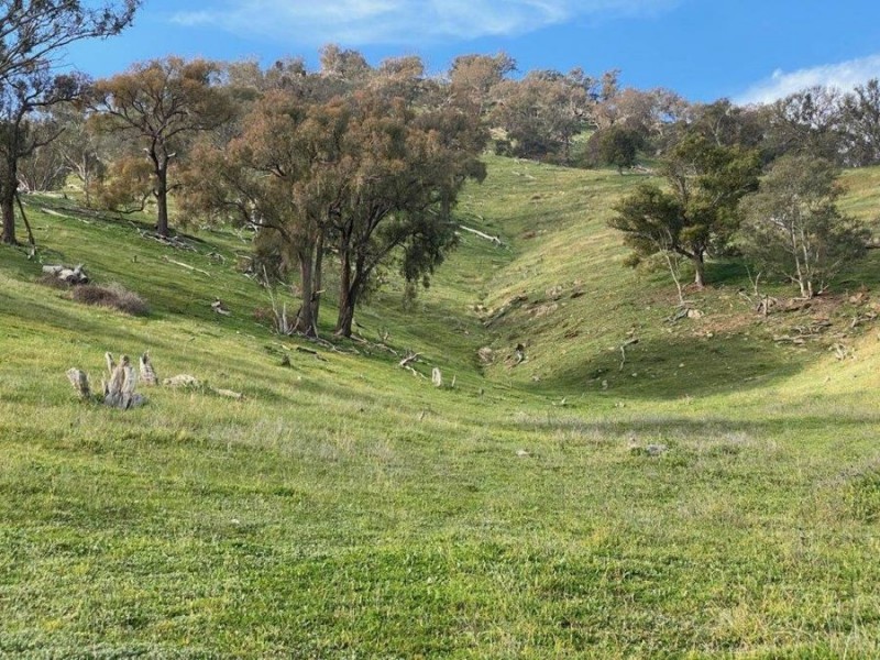 “WILLOWIE” FIVE MILE CREEK ROAD, Gundagai NSW 2722