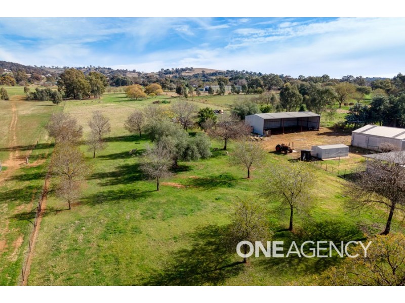 8 EUGENE AVENUE, San Isidore NSW 2650
