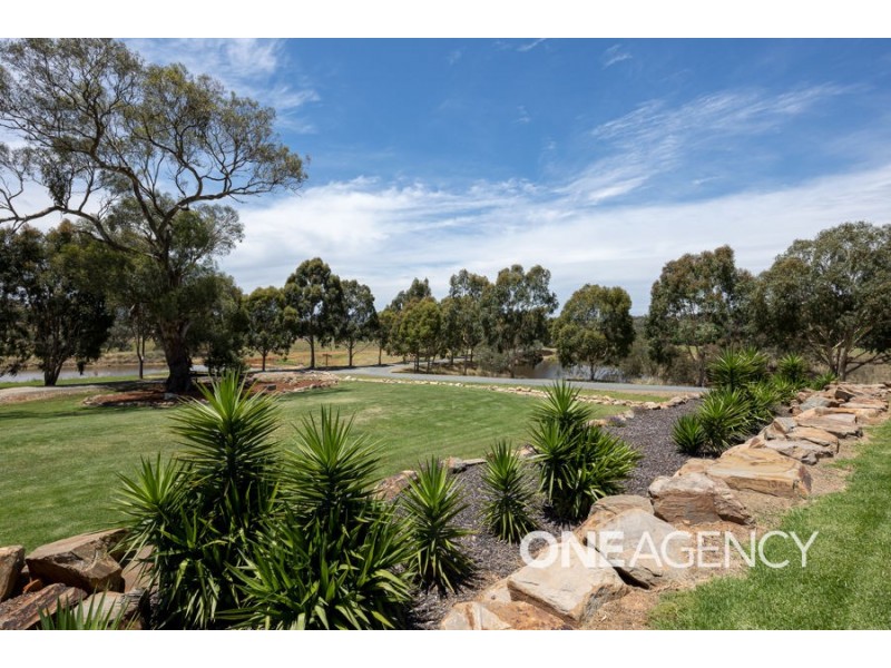 6707 HOLBROOK ROAD, Rowan NSW 2650
