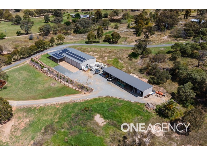 6707 HOLBROOK ROAD, Rowan NSW 2650