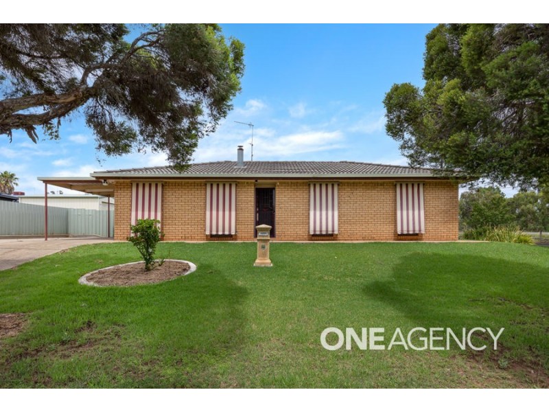 29 TRUSCOTT DRIVE, Ashmont NSW 2650