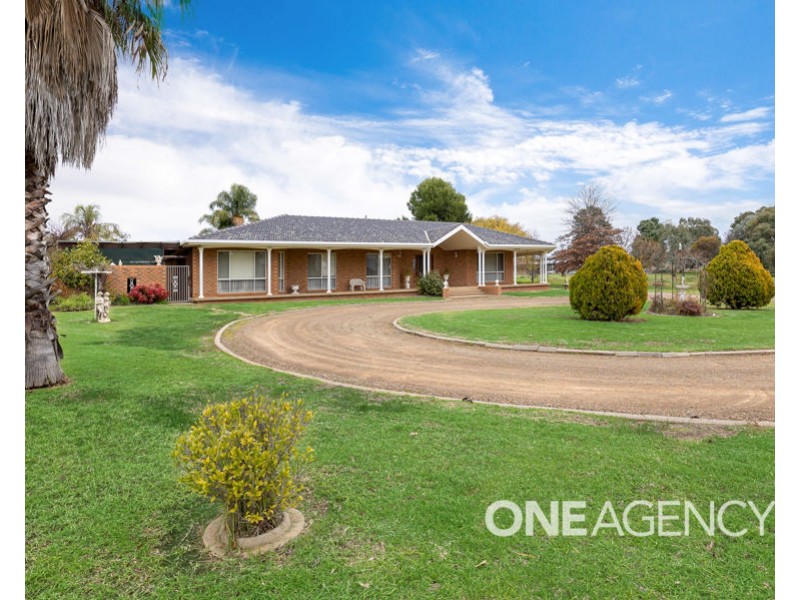 62 GREGADOO ROAD, Lake Albert NSW 2650
