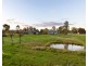 1 WALLACE STREET, Coolamon NSW 2701