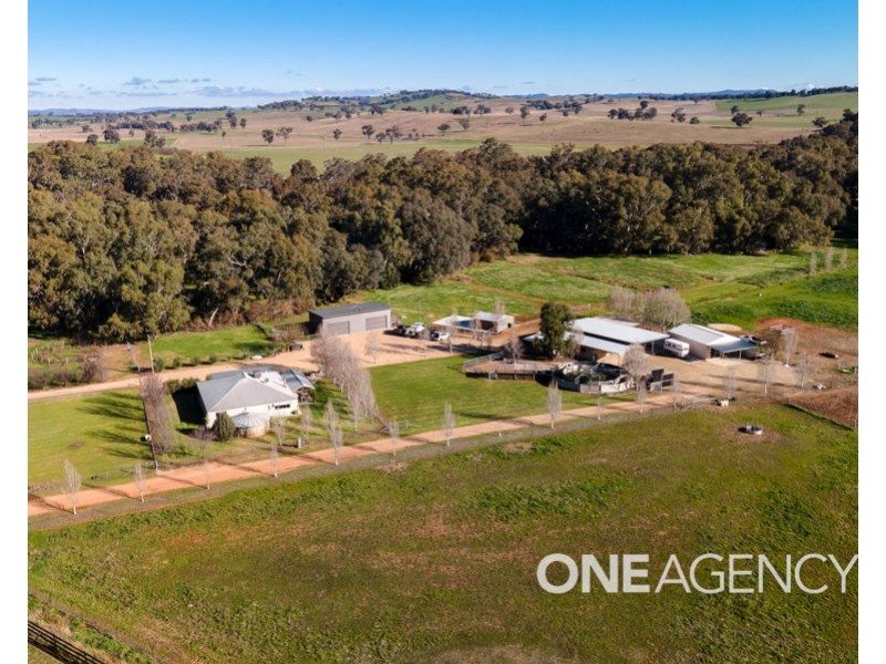 39 RIVER ROAD, Alfredtown NSW 2650