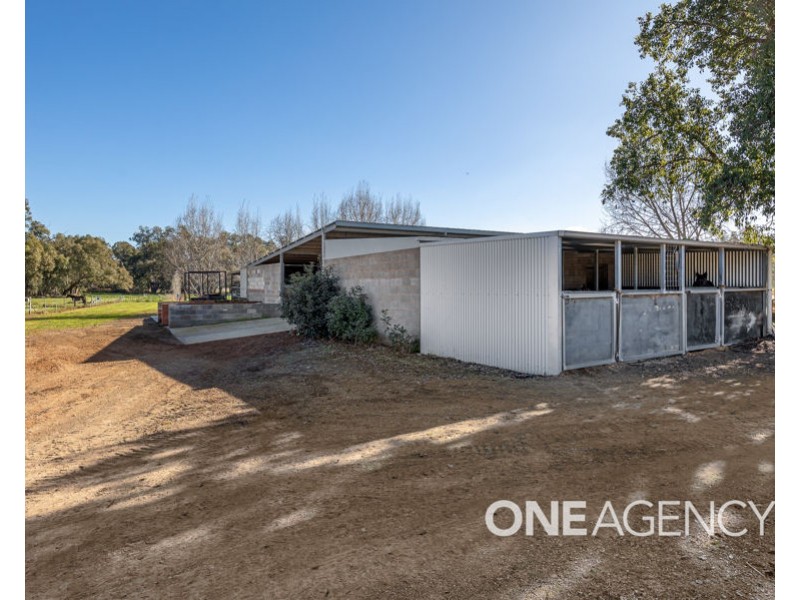 39 RIVER ROAD, Alfredtown NSW 2650