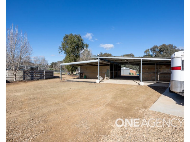 39 RIVER ROAD, Alfredtown NSW 2650