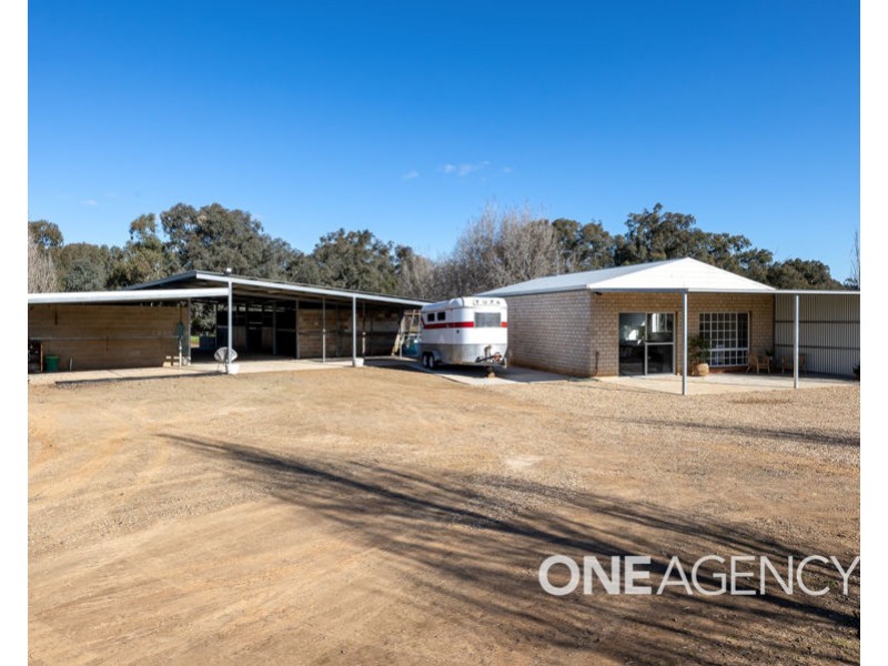 39 RIVER ROAD, Alfredtown NSW 2650