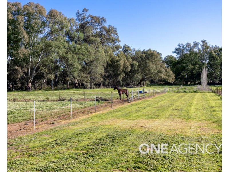 39 RIVER ROAD, Alfredtown NSW 2650