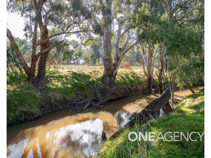 39 RIVER ROAD, Alfredtown NSW 2650