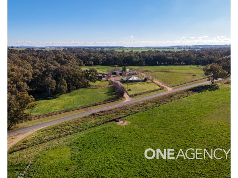 39 RIVER ROAD, Alfredtown NSW 2650