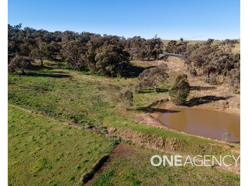 39 RIVER ROAD, Alfredtown NSW 2650
