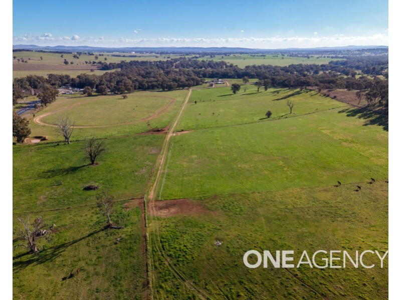 39 RIVER ROAD, Alfredtown NSW 2650